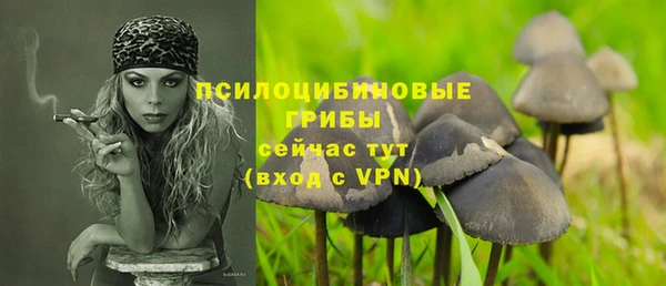 крисы Бронницы