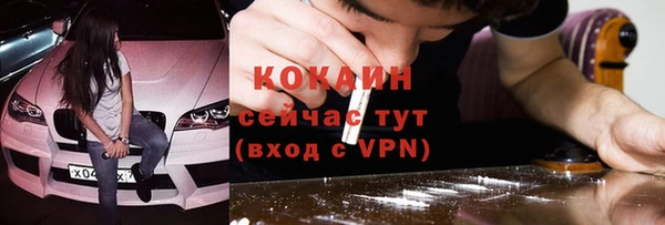 крисы Бронницы