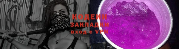 крисы Бронницы