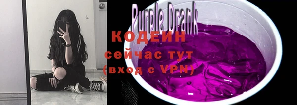 крисы Бронницы