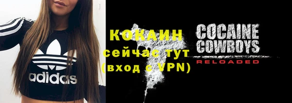 крисы Бронницы