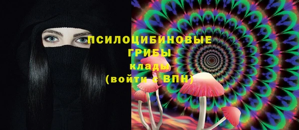 крисы Бронницы