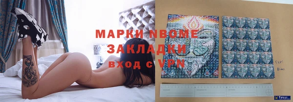 крисы Бронницы