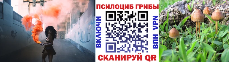 MEGA ONION  Великий Устюг  Галлюциногенные грибы ЛСД 